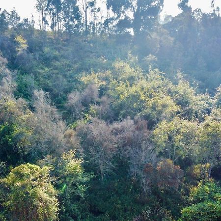 La Flora Kodaikanal Luaran gambar